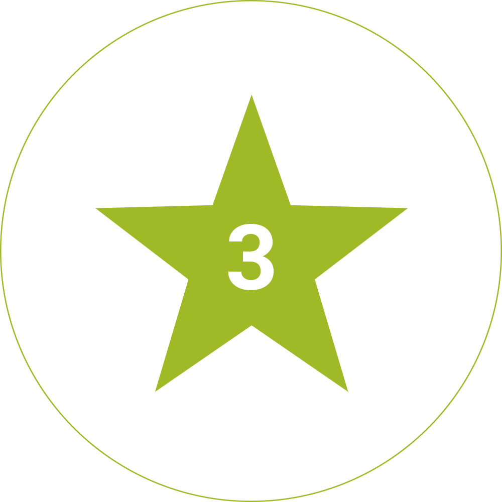 estrella03