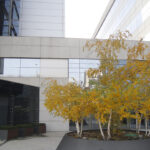 Edificio de Oficinas en Av. Camino de Santiago. Madrid